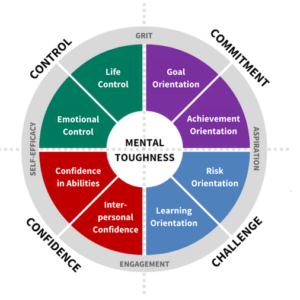 MTQPlus Assessment